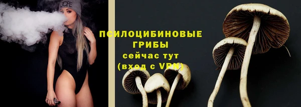 прущие крисы Баксан