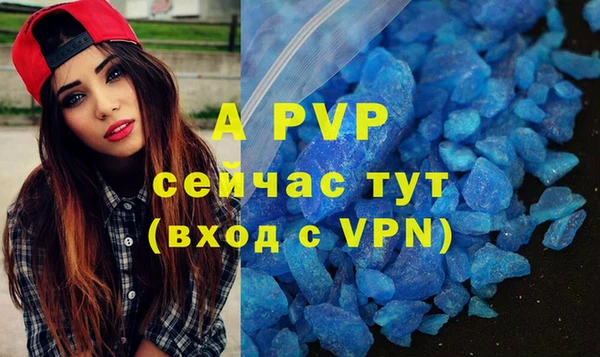 СК Балахна