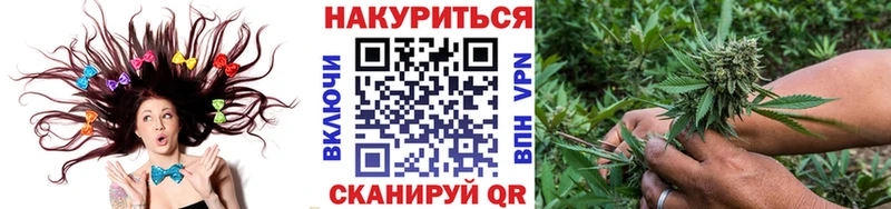 omg ссылка  Звенигово  Марихуана сатива 